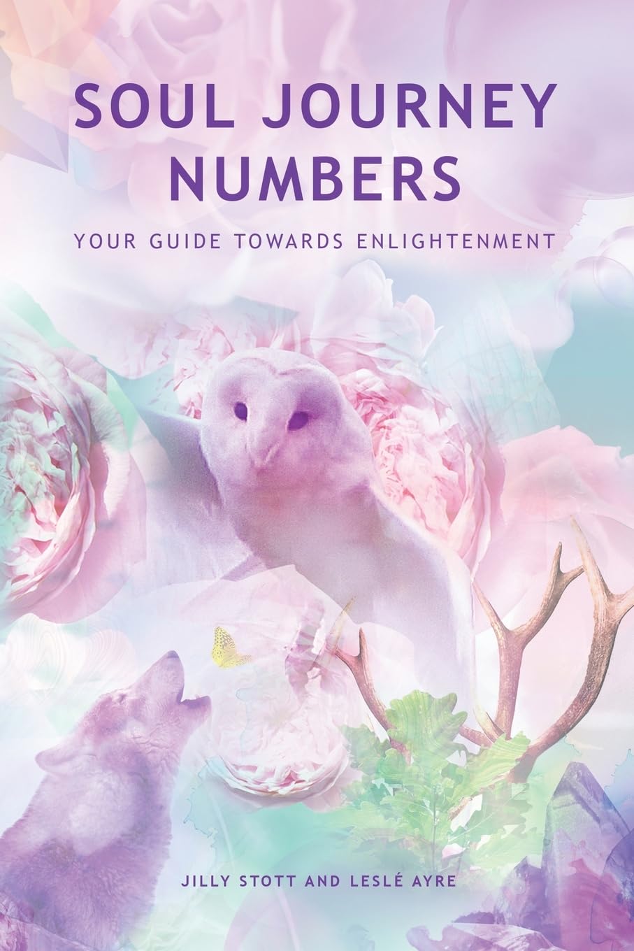 Soul Journey Numbers: Your Guide Towards Enlightenment