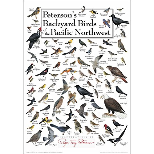 Earth Sky + Water - Petersons Backyard Birds of The Pacific Northwest - Poster