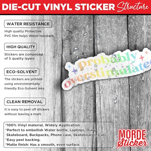 Image of (3Pcs) Probably Overstimulated Sticker Overstimulated Retro Rainbow Sticker 2 inch Die-Cut Waterproof Vinyl Sticker for Hard Hat Laptop Water Bottle Phone Kindle Decal Stuff Gifts for Her Him 2 Inches