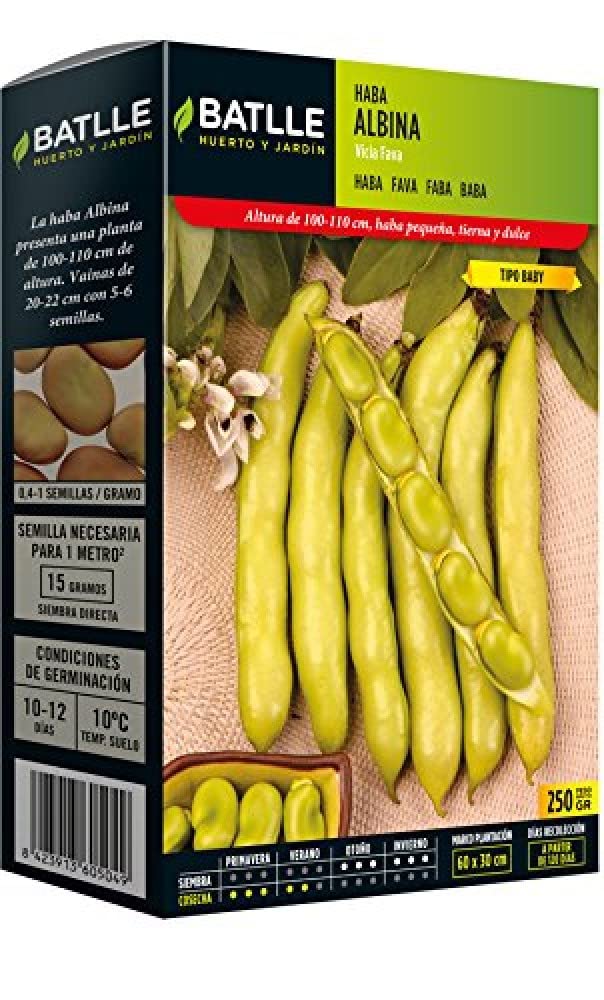 Batlle - Semi di fava