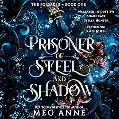 Prisoner of Steel and Shadow cover art