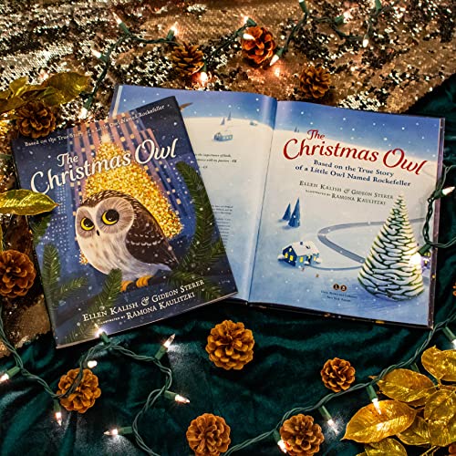 Health Management 9780316299121 The Christmas Owl: Based thumb #2