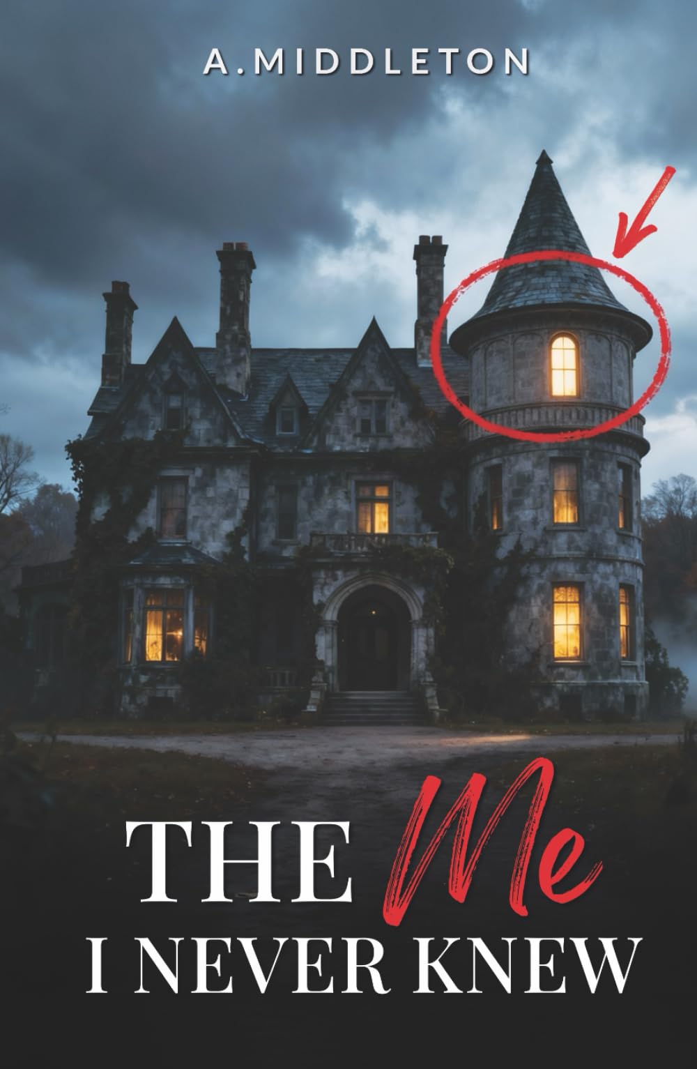 The Me I Never Knew (The Me I Never Knew Series)