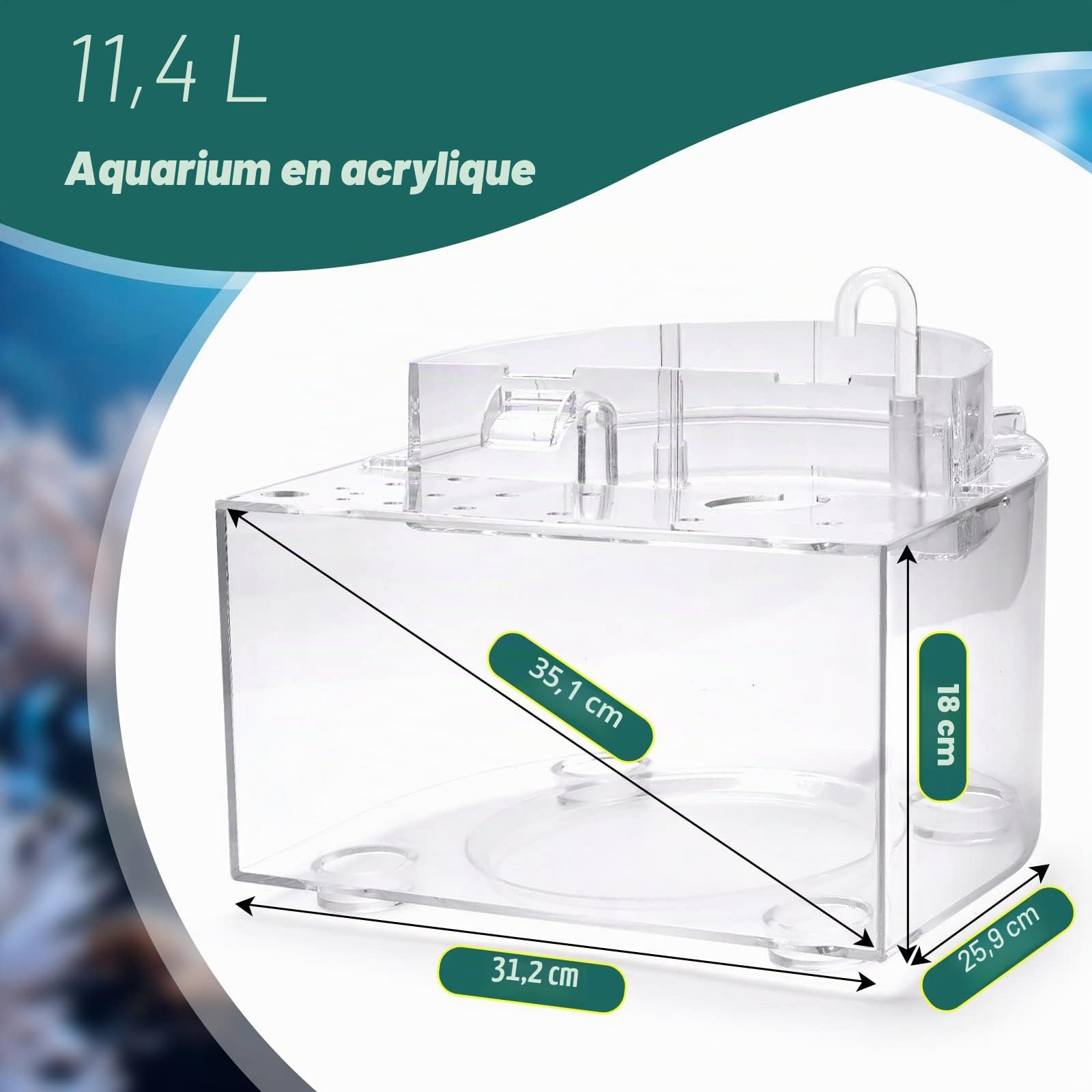 Betta Kit d'aquarium autonettoyant avec lumière LED, filtre, chauffage, décorations et accessoires – Idéal pour système de culture hydroponique et aquaponie 9 l