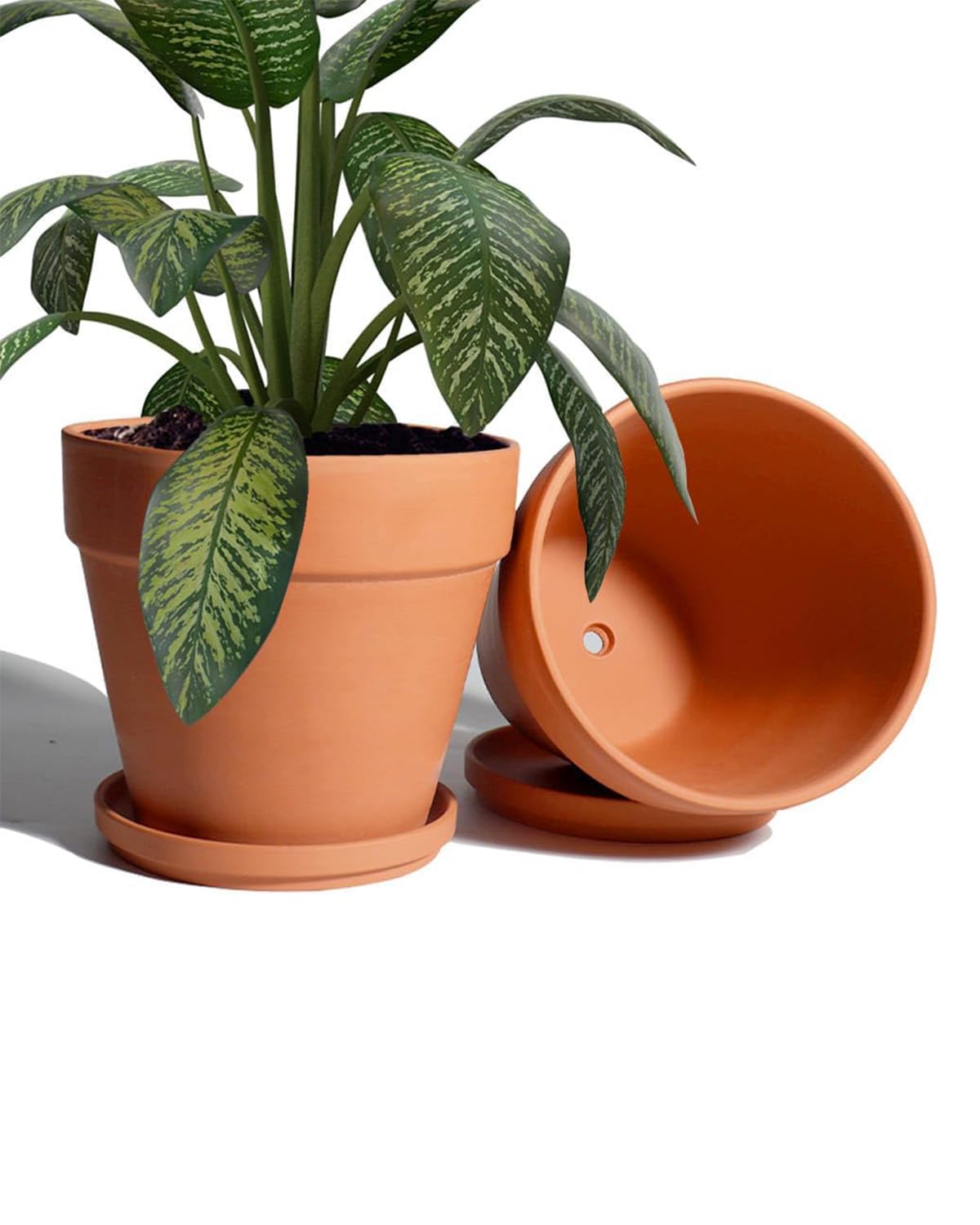 vensovo 20CM Clay Pot for Plant with Saucer - 2 Pack Large Terra Cotta Plant Pot with Drainage Hole, Clay Planters Pot, Terracotta Pot for Indoor Outdoor Plant