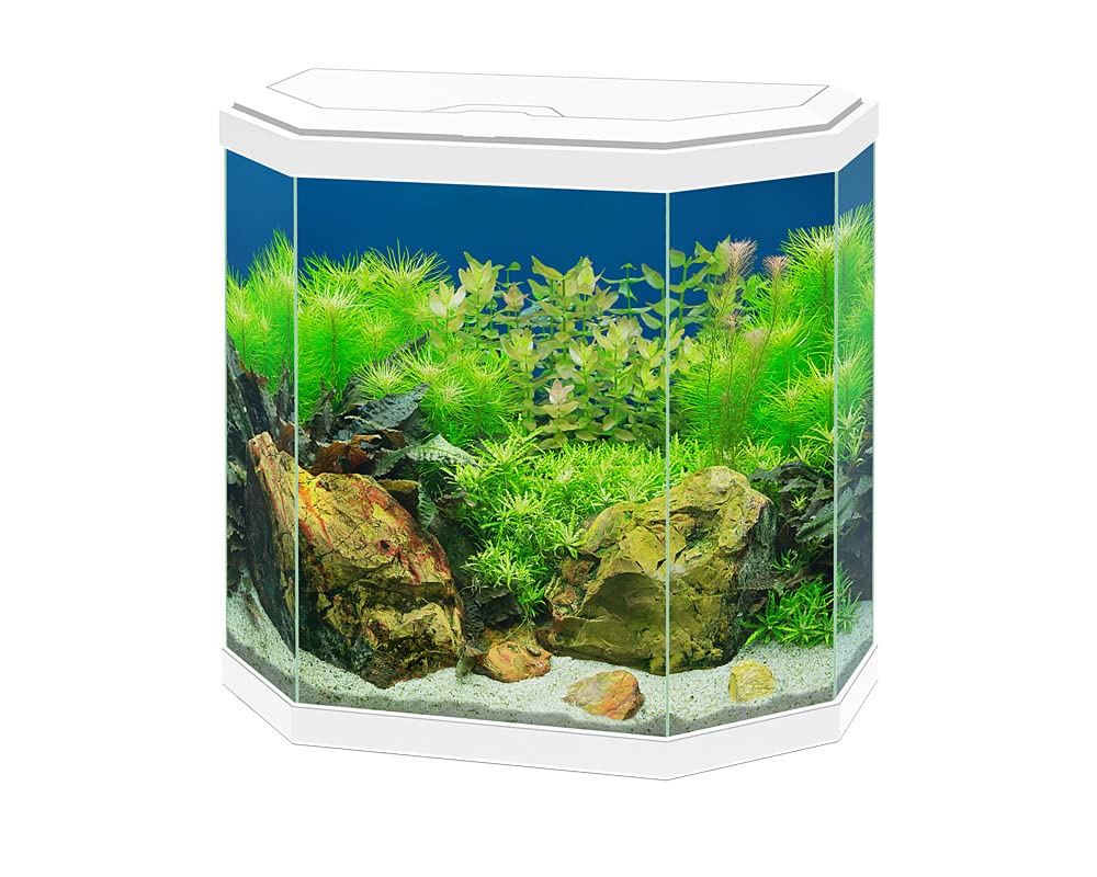 Acuario Aqua 30 Led Blanco