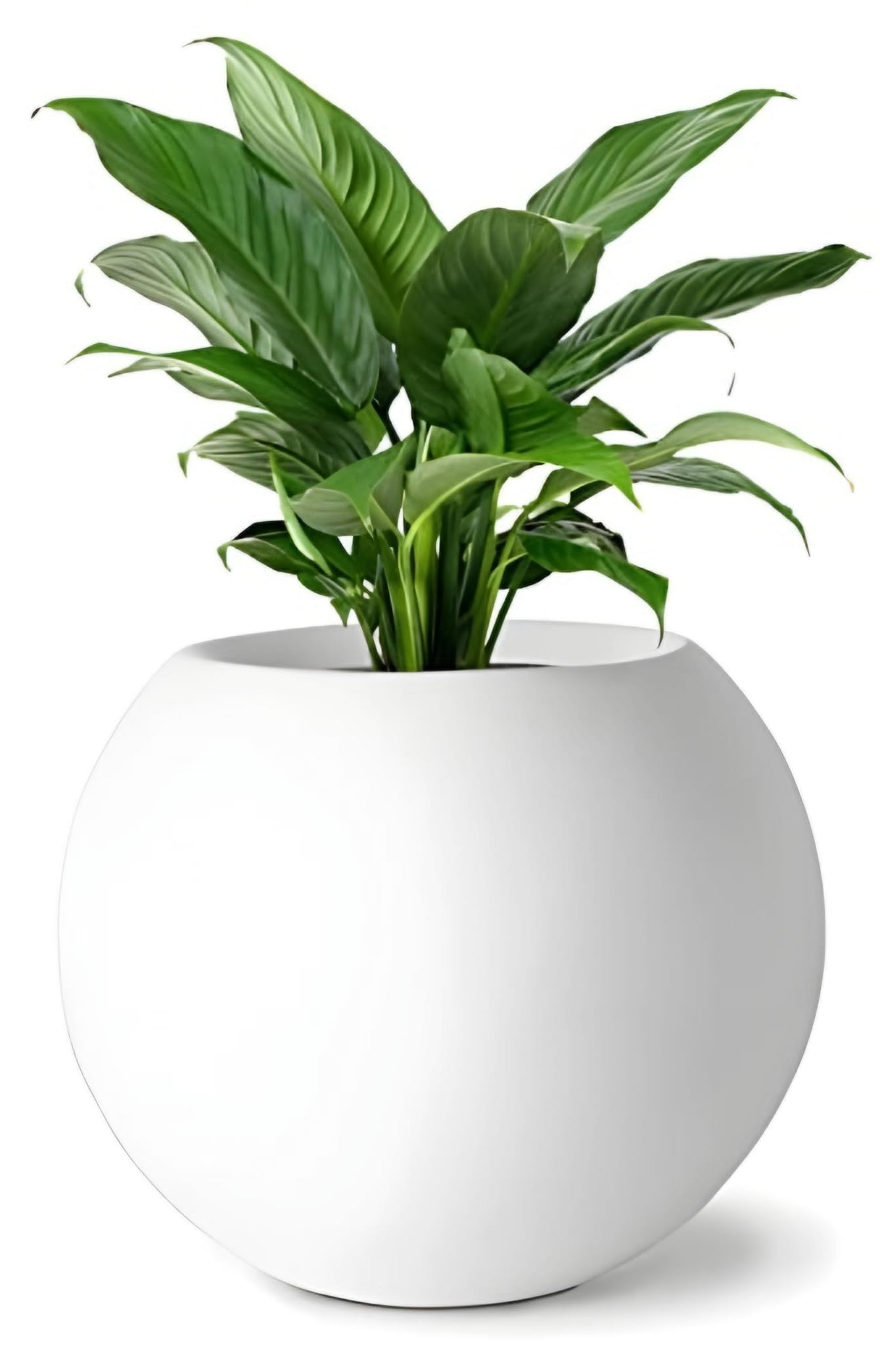 CRAFTMOSE 9-Inch White Round Fiberglass Planter: Versatile Indoor-Outdoor Gamla for Flowers, Vegetables, and Herbs (B0CQPJNN3S) Amazon Price History, Amazon Price Tracker