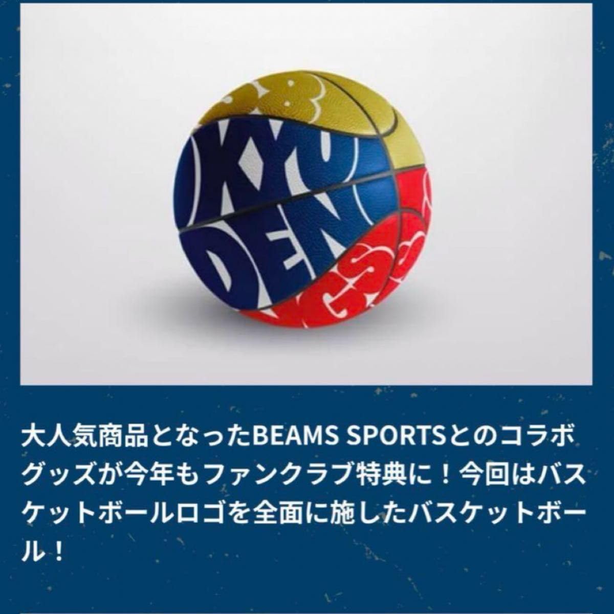 Amazon.co.jp: 琉球ゴールデンキングス バスケットボール空気入れ付き 