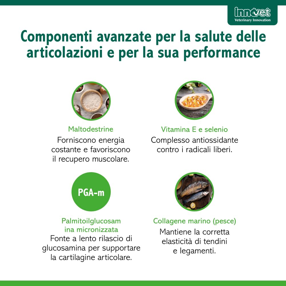 Innovet Condrogen Adult & Sport per cani – 60 bustine stick - Supporto articolare avanzato per cani adulti e cani sportivi, aiuta a mantenere mobilità, performance articolare e recupero muscolare