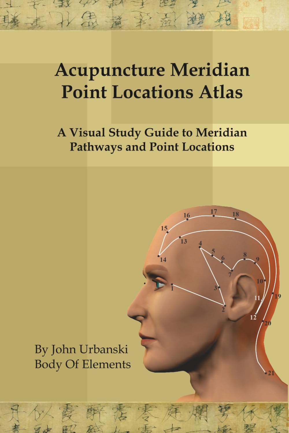Acupuncture Meridian Point Locations Atlas: A Visual Study Guide to Meridian Pathways and Point Locations