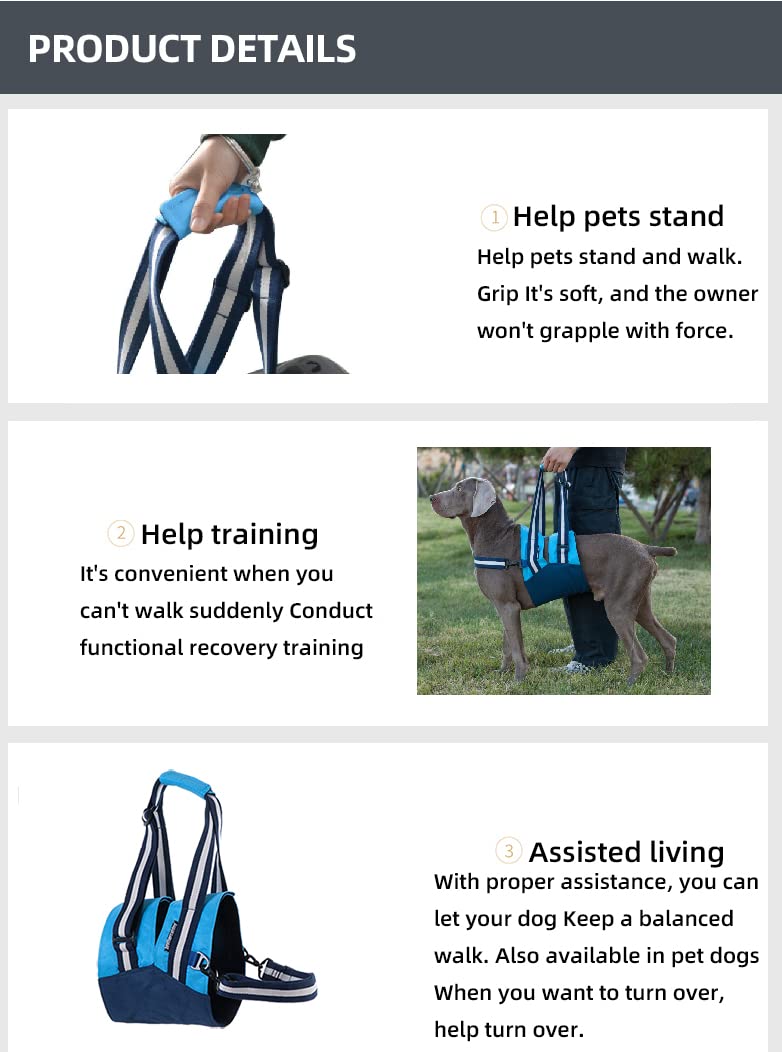 Imbracatura per cani per cani, tracolla per cani feriti, anziani o limitati, portatile per riabilitazione, diverse misure di sicurezza (M)