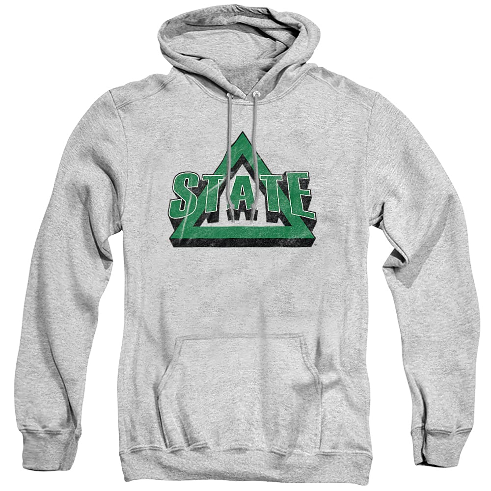 LOGOVISION Official Collegiate Distressed Primary Logo Adult Pullover Hoodie Collection — view 351