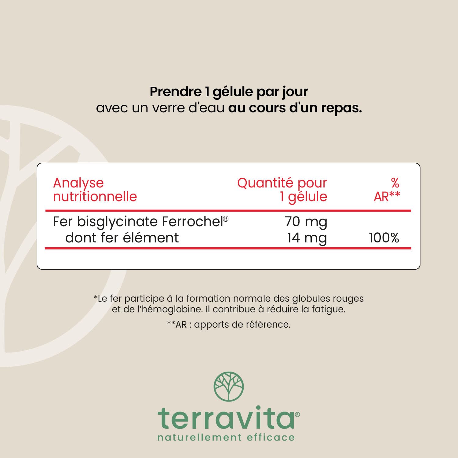 FER Bisglycinate Pur 14 mg | Complément Alimentaire Anti-Fatigue | Fer Breveté Ferrochel® Haute Absorption | Cure de 3 Mois sans Troubles Digestifs | 90 Gélules Végétales | Made in France | Terravita