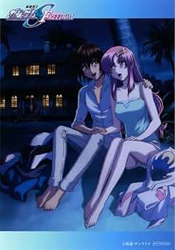 ガンダムSEEDFreedom 特典 アスカガ キララク ガンダムseed 入場特典 アフターカットポストカード キララク