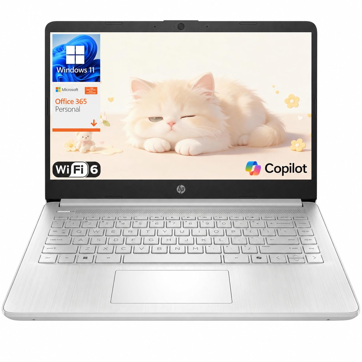 Amazon.com: HP 14