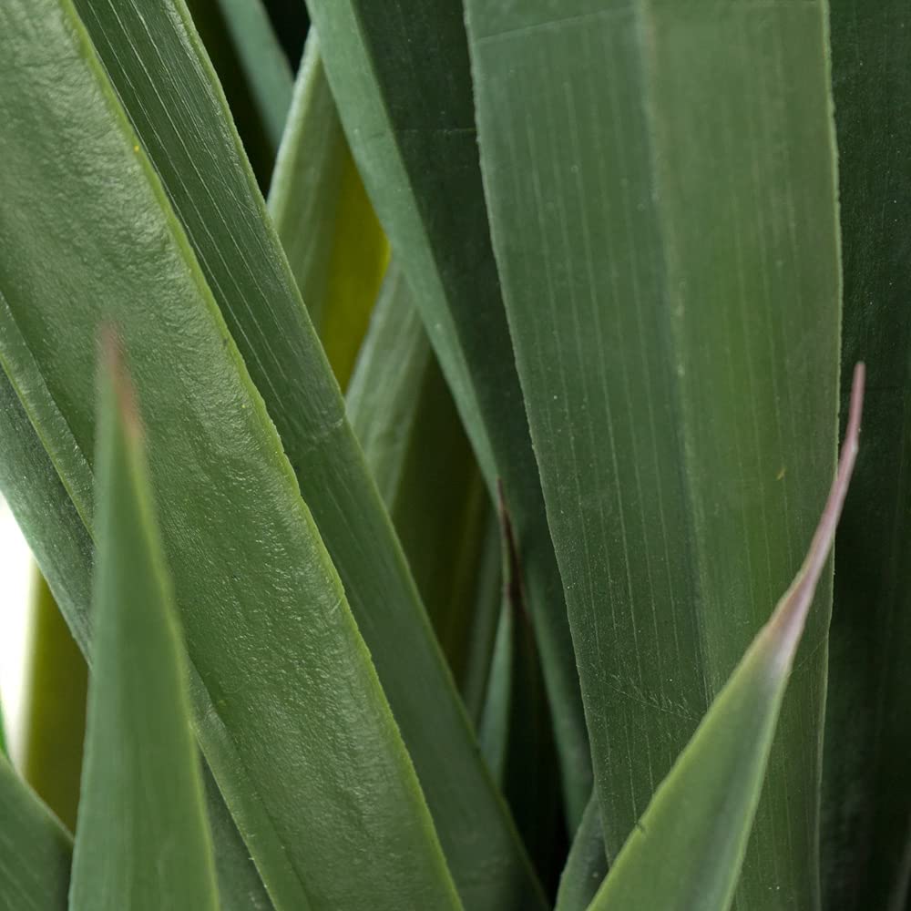 Decovego Yucca Pianta Artificiale Plastica 150 cm Abitacolo, Selezione pianta di Yucca:Pianta di Yucca Modello 2