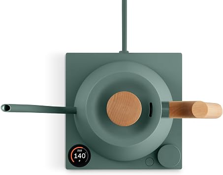 Fellow Stagg EKG Electric Gooseneck Kettle - Pour-Over Coffee and Tea Pot, Stainless Steel, Quick Heating, Smoke Green with Maple Wood Handle, 0.9 Liter