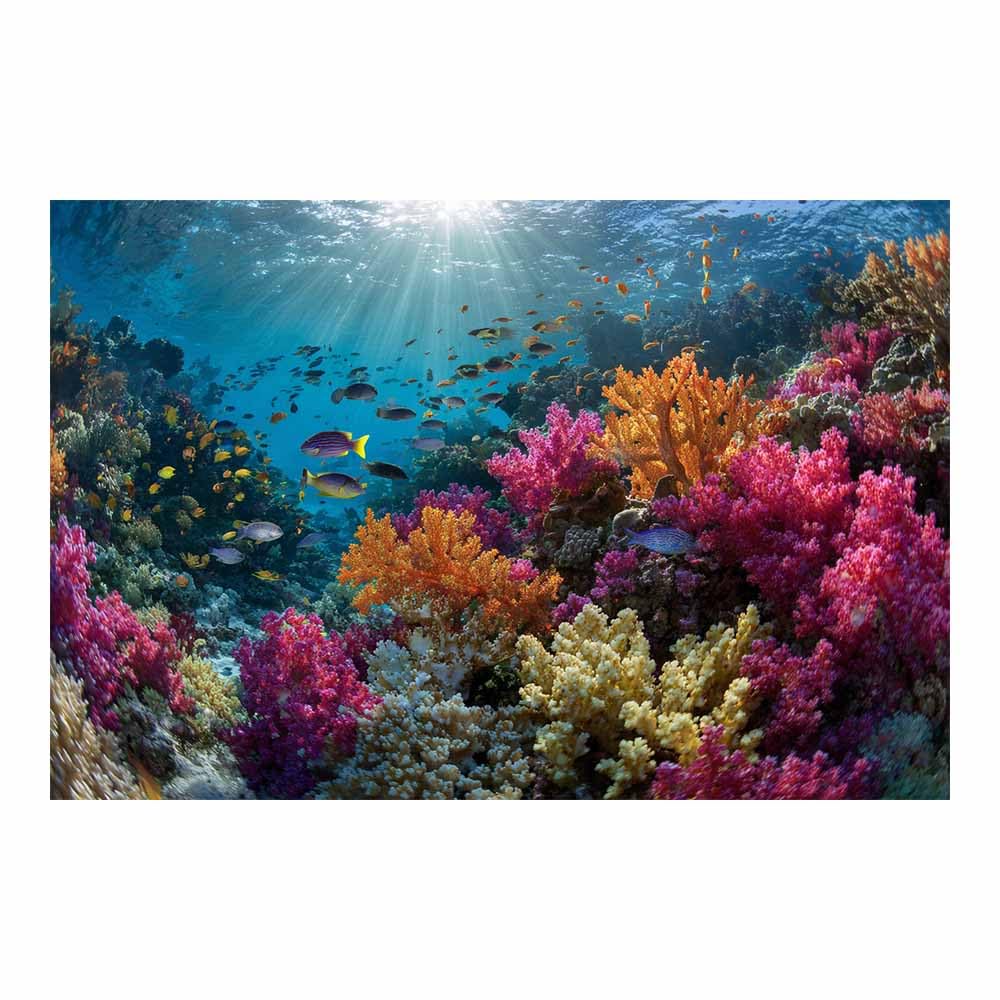 HOQIU Vintage wall art Vibrants Corals Reef decorative painting, wall art, for Living Room Bathroom Bedroom Kitchen Decoration.(Multicolor)-70x100cm Unframed