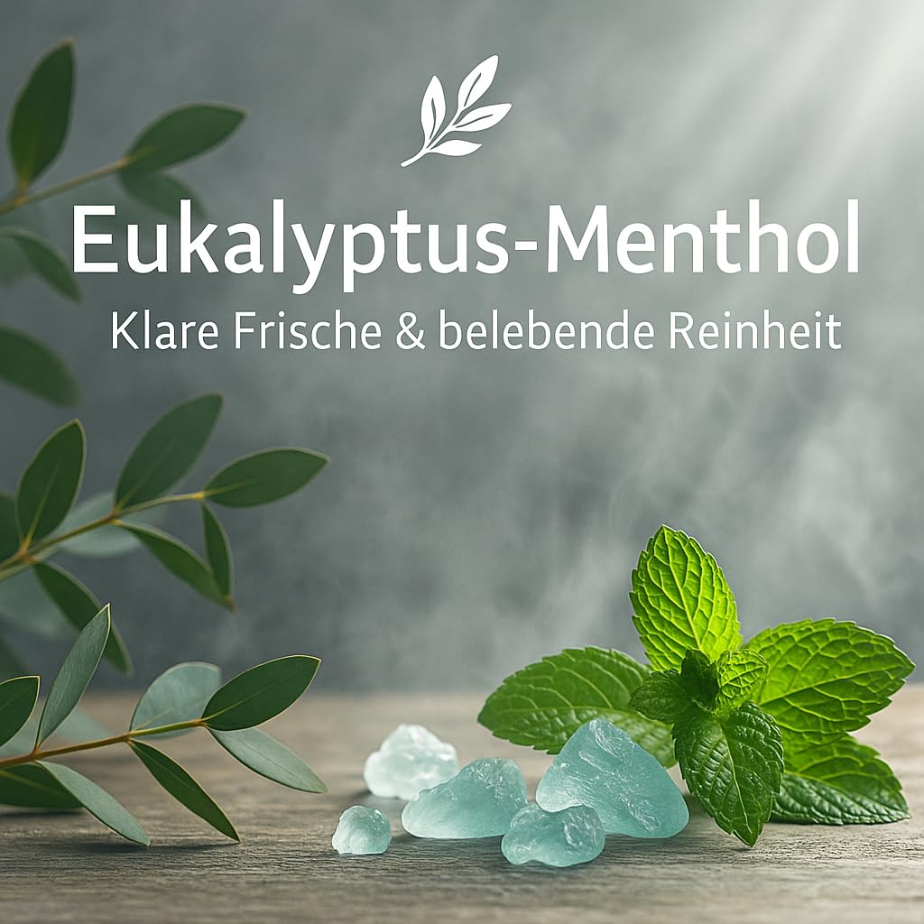 Dufte Momente Saunaaufguss-Konzentrat Eukalyptus-Menthol – 3 Liter – intensiv frisch & klar – konzentriert & ergiebig – zertifizierte Profi-Qualität – vegan & Made in Germany