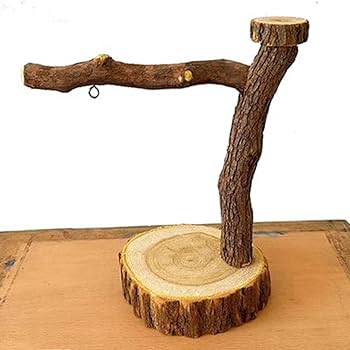 Amazon.co.jp: 鳥止まり木 天然木 スタンド インコ オウム 文鳥