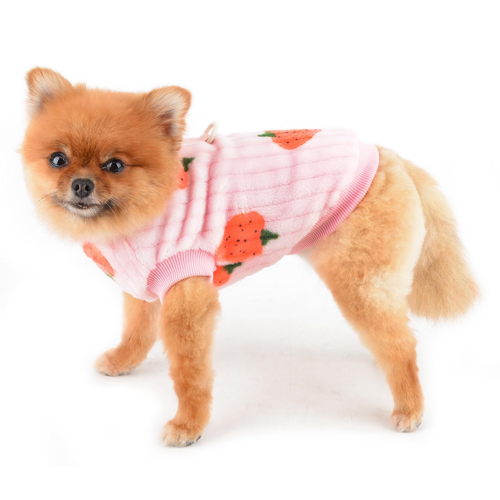SMALLLEE_LUCKY_STORE Dog Fleece Jumpers for Small Dogs Cat Pet Pullover Sweatshirt with Strawberry Print and D-ring - Image 2
