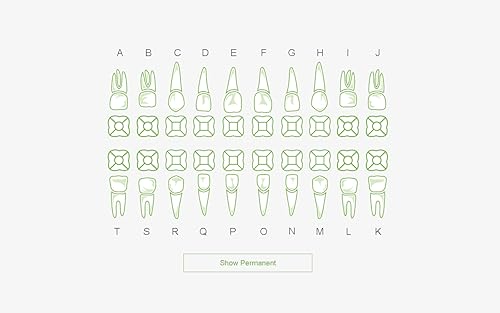 Dental Chart