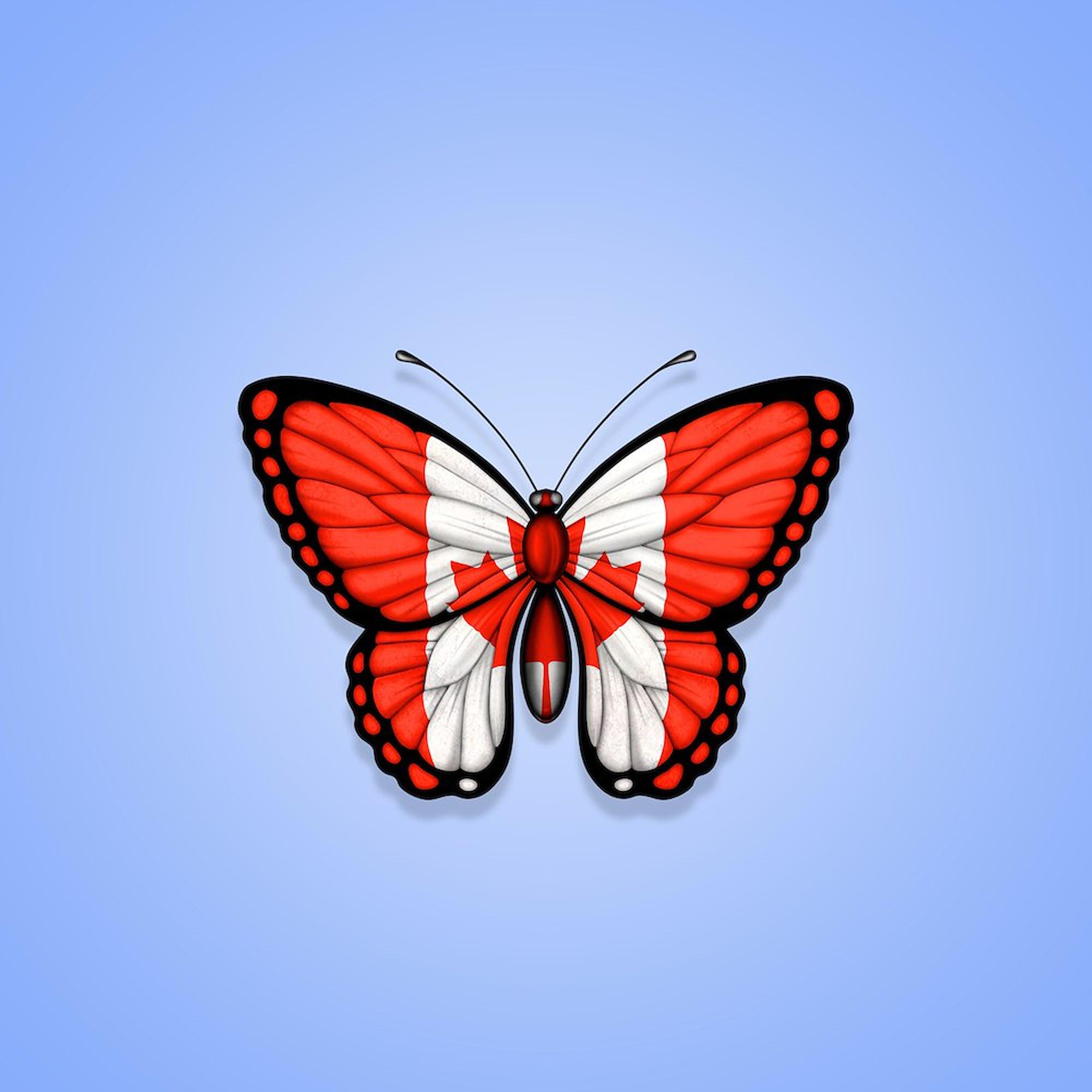 CafePress Canadian Flag Butterfly On Blue Sticker Square Bumper Sticker Car Decal