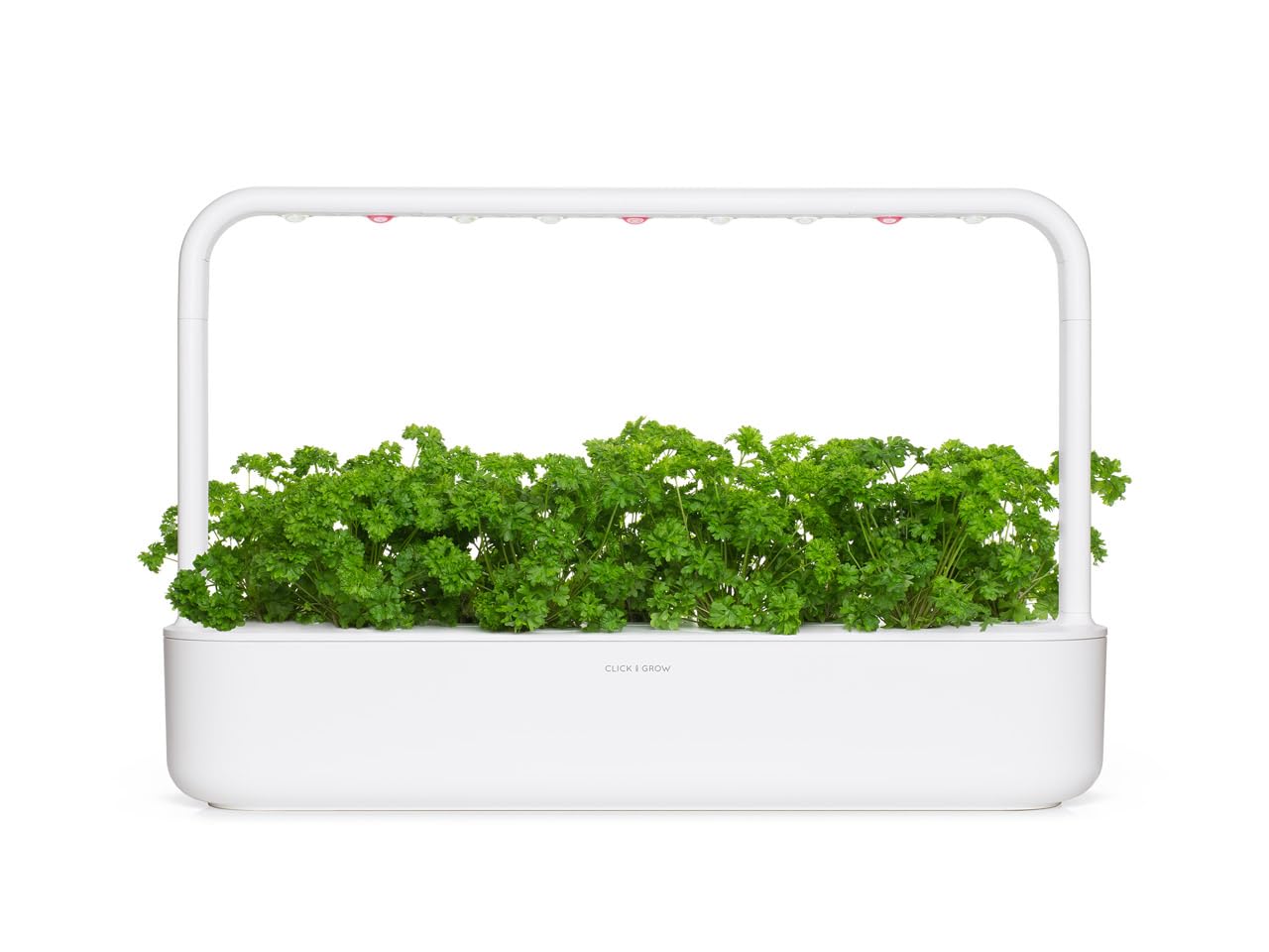 Click & Grow Perejil Rizado Cápsulas de Recambio, Kit de 3, Smart Garden | Smart Soil Patentado. Cápsulas listas para usar. Semillas y nutrientes ya incluidos. Crecimiento rápido