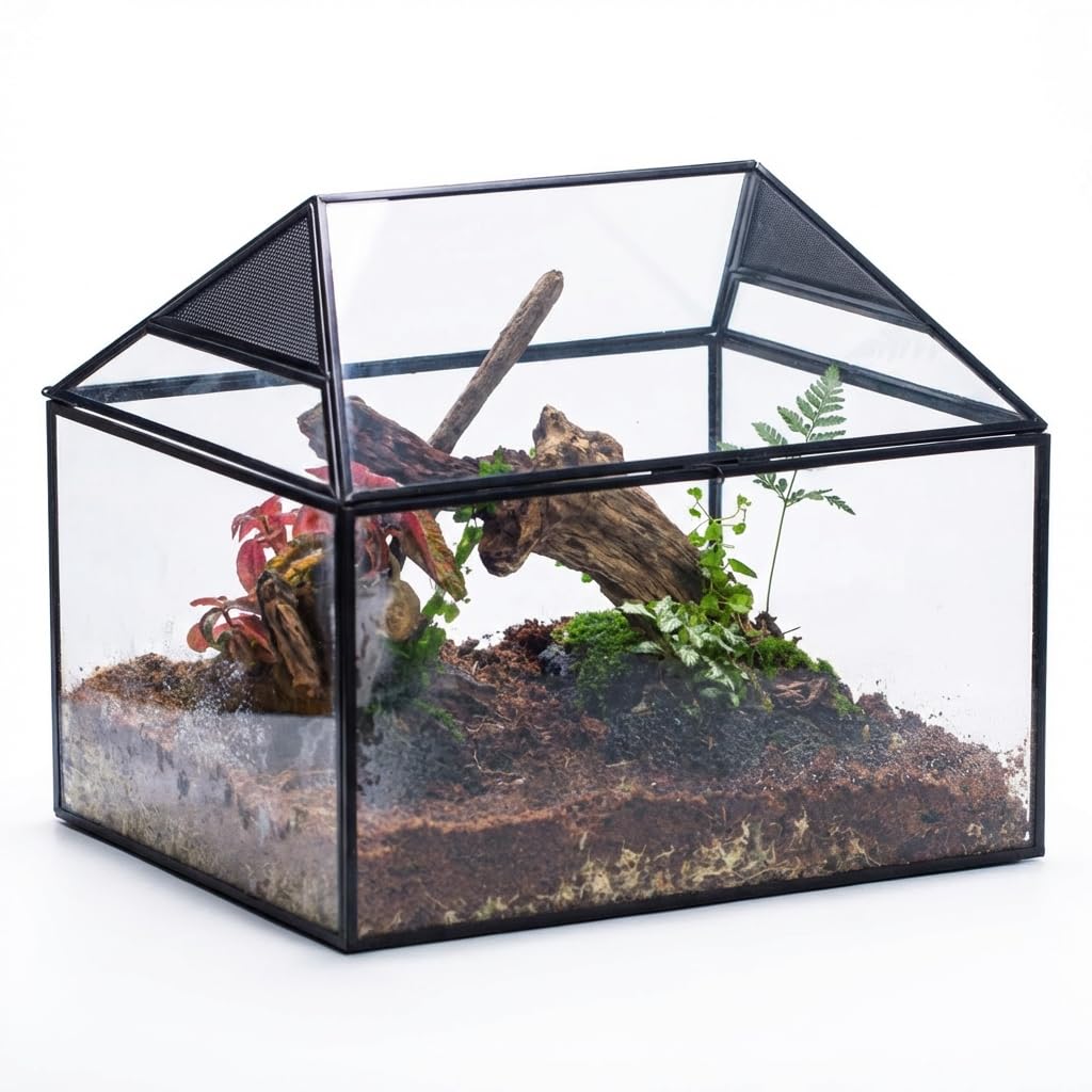 Amazon.com: NCYP Large Geometric Glass Terrarium Box with Swing