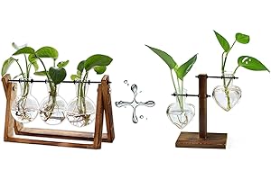 Exquisite Glass Plant Terrarium with Wooden Stand