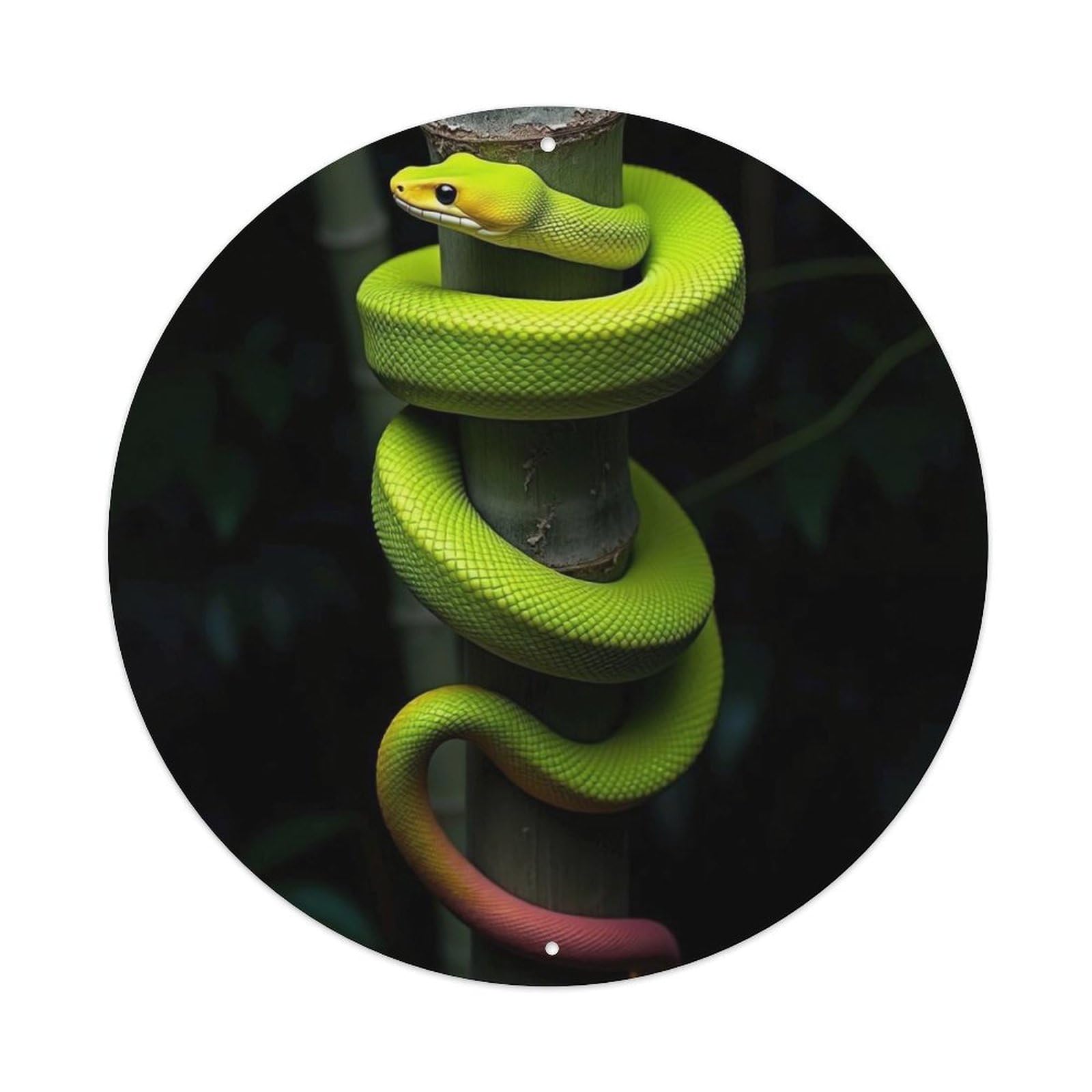 Cwbufd Vintage Style Green Snake Jungle Wildlife Reptile Nature Photography Premium Vintage Metal Tin Sign Plaque Wall Decor For Cafe, Club Bar, Office, Garden Metal Poster 8X8inch