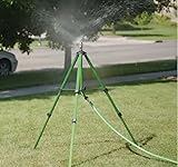 Review Image by Crystal M. Crystal M.