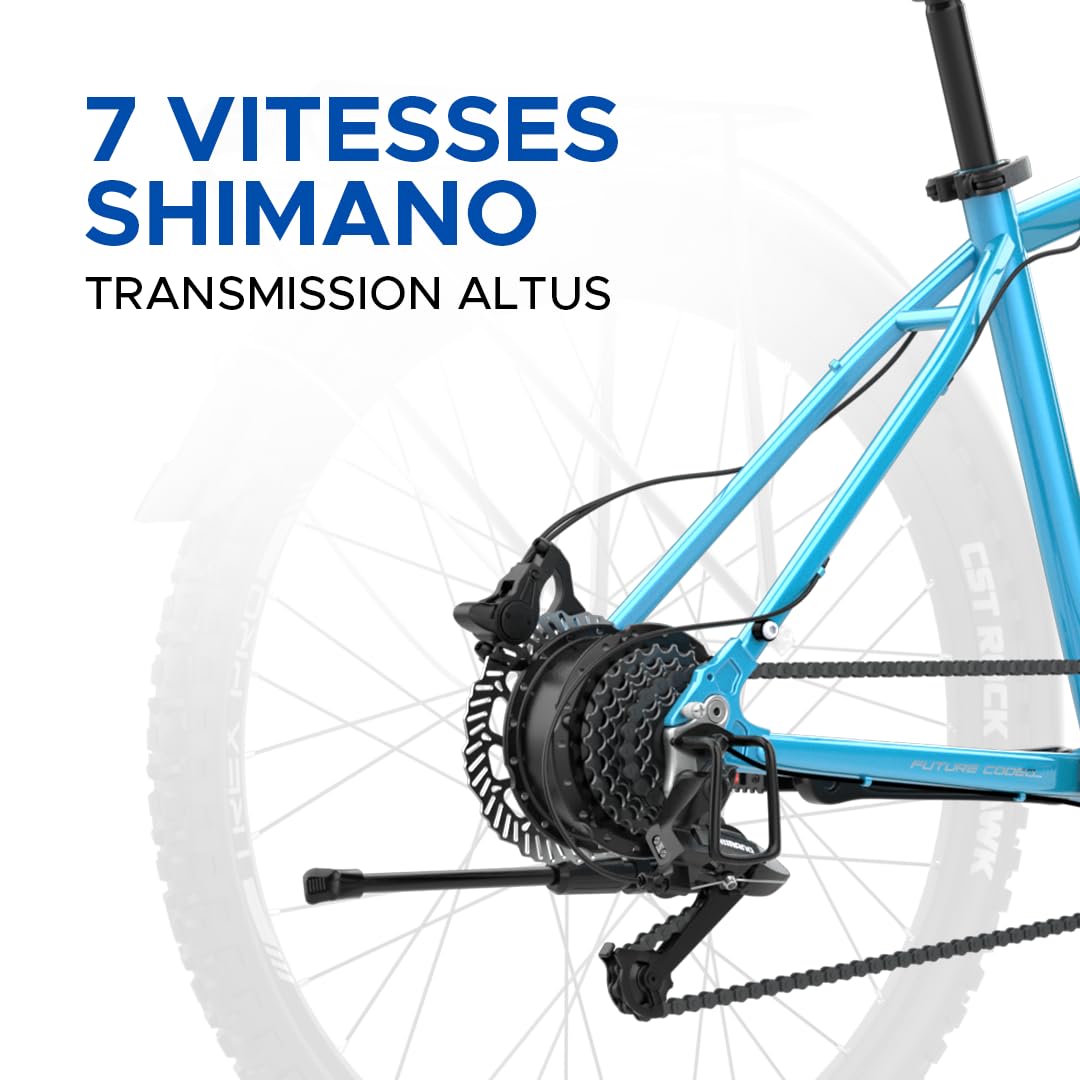 EMotorad T-Rex Pro | Vélo Électrique Tout-Terrain 250W | Batterie Amovible 13Ah | Autonomie jusqu'à 70 km | Moteur 36V 250W | Suspension 100 mm | Freins à Disque | Guidon Intégré avec Écran i13