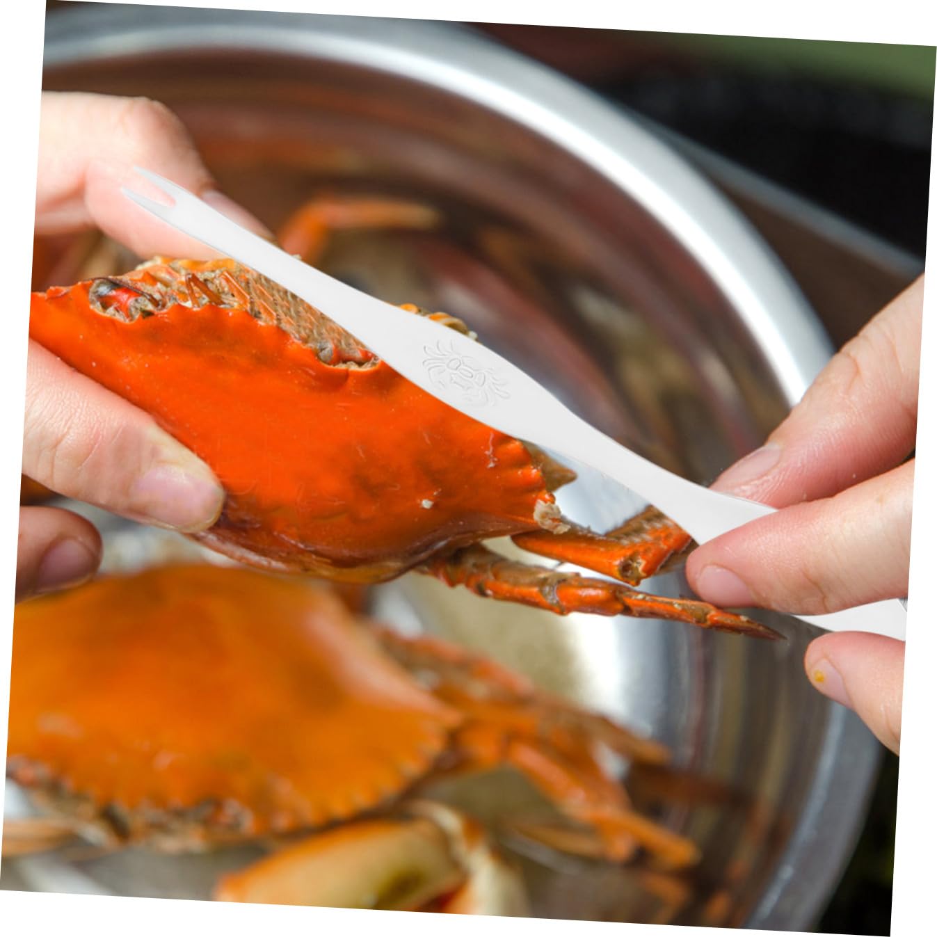 VALICLUD Set Utensili Granchio 1 Pezzo in Acciaio Inox per Frutti di Mare | Apri Guscio e Raccogli Carne Dai Punti Difficili, Adatto a Ostriche e Pasti di Pesce