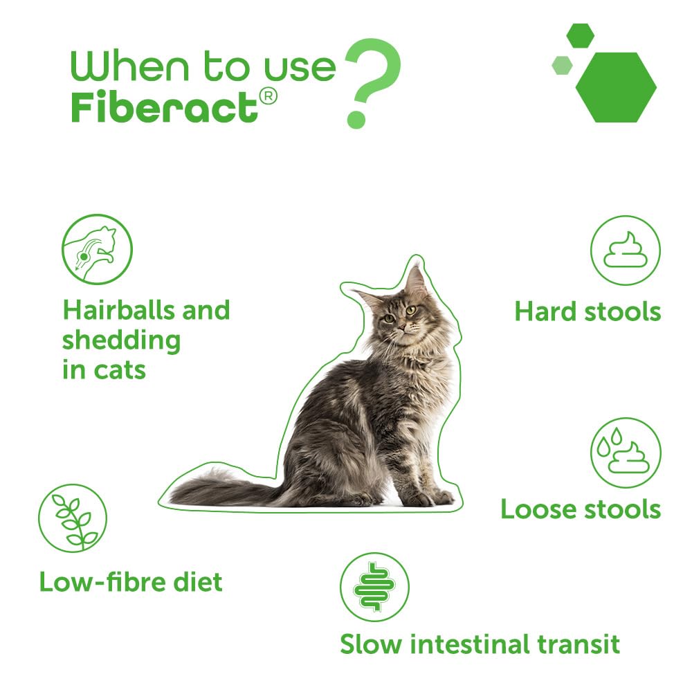 MP Labo Fiberact 100 g