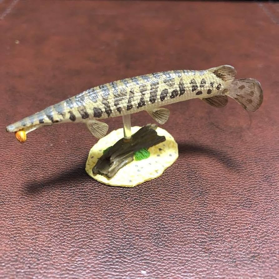 Amazon.co.jp: 鳥羽水族館 立体コレクション2 スポッテッドガー ホビー