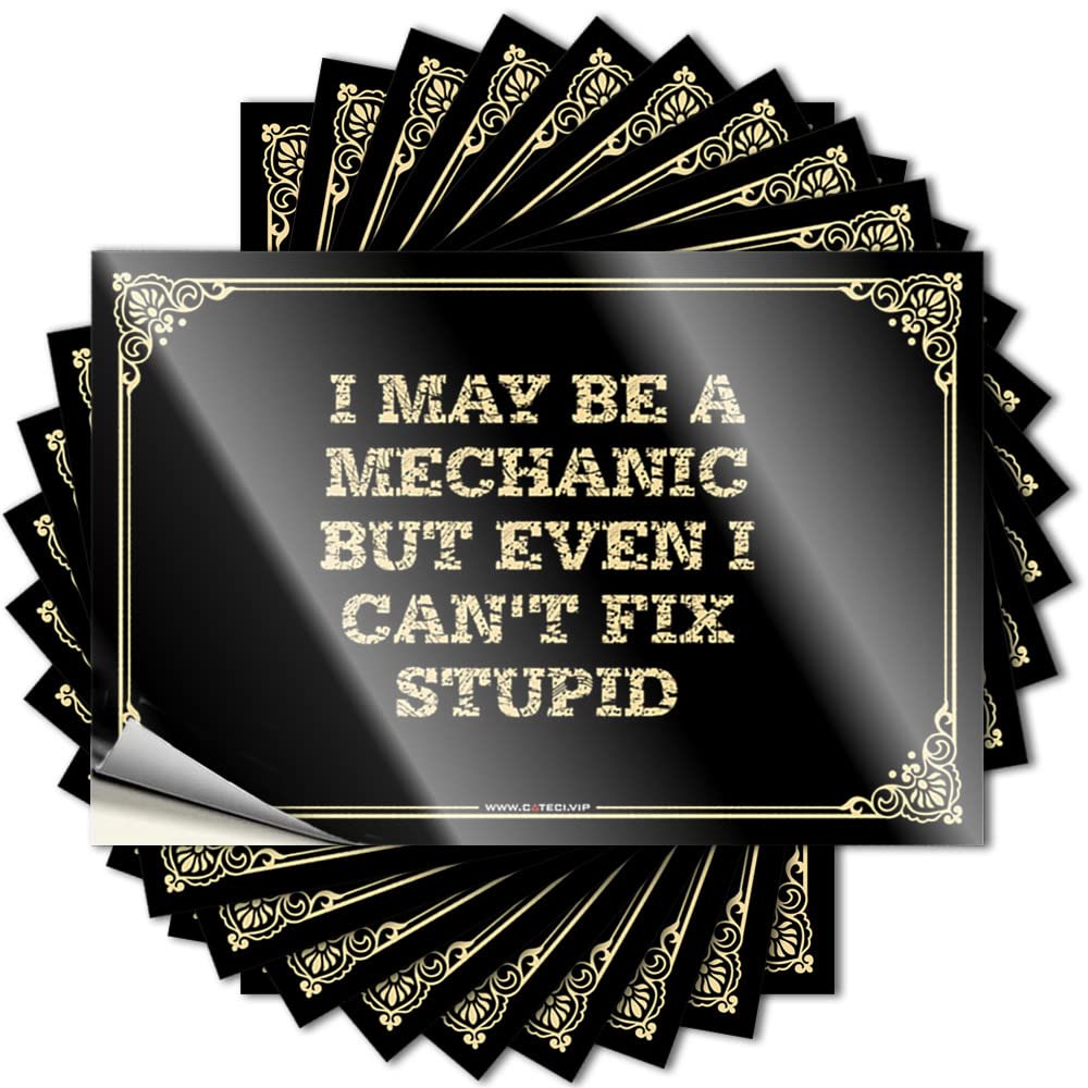 Funny Sticker Work Durable Vinyl - I May Be A Mechanic But Even I Can't Fix Stupid Hat for Interesting Use(12X18CM)