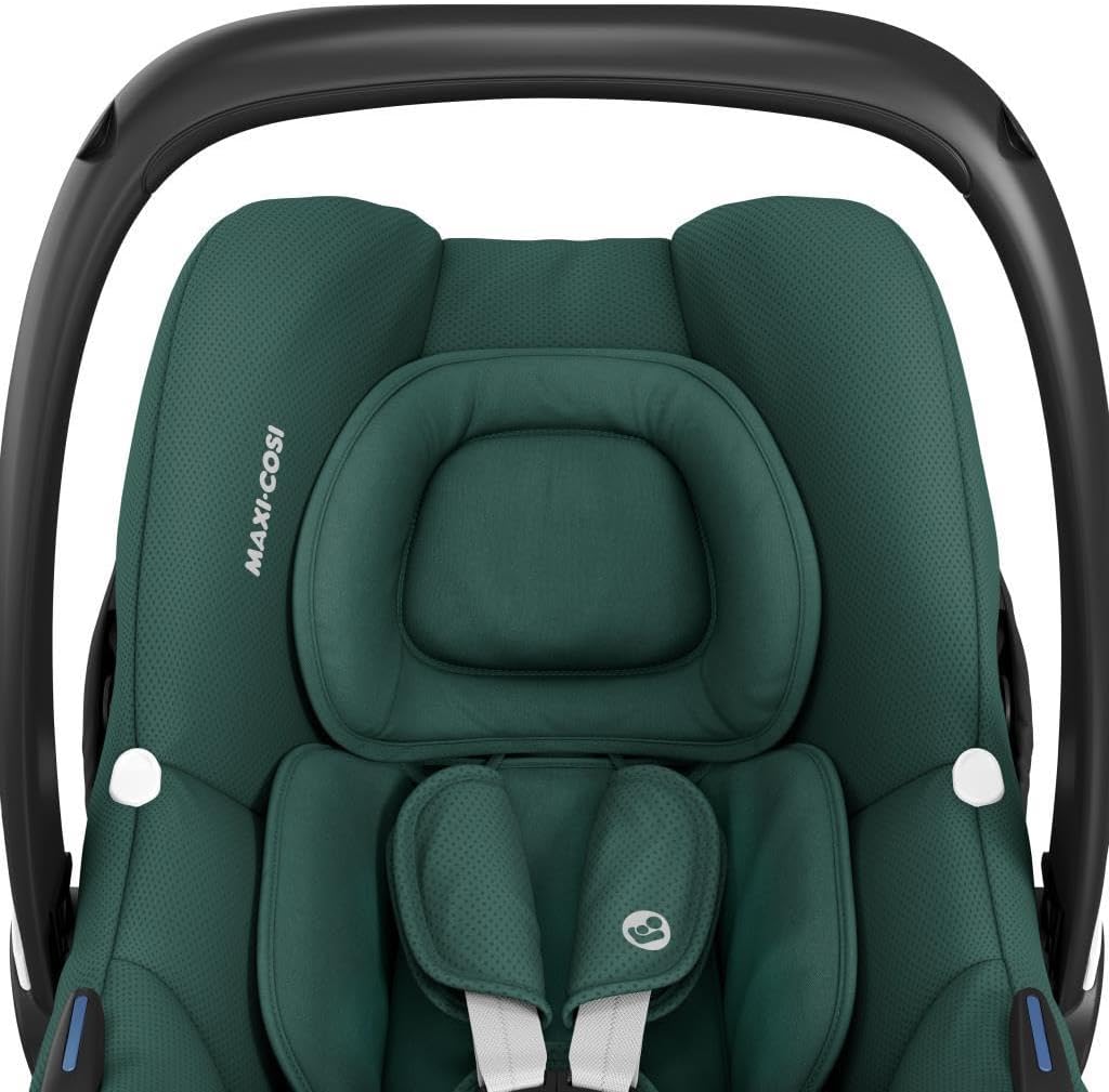 Close-up of the car seat's headrest and harness system