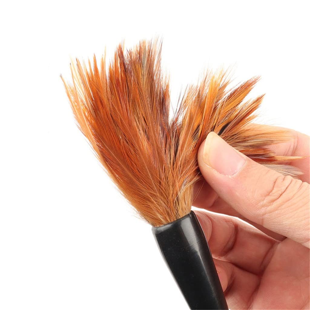 Ensemble De Pinceaux De Calligraphie en Plumes De Poulet, Peinture À L'Encre Éclaboussée À Main Levée, Pinceau De Dessin De Paysage, Stylo,D-1 Count (Pack of 1)