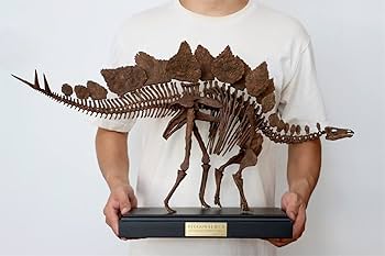 世界に一つ　首長竜スティクソサウルス　木彫全身骨格模型　全長107㎝　価格応相談 世界に一つ 首長竜スティクソサウルス 木彫全身骨格模型 全長107