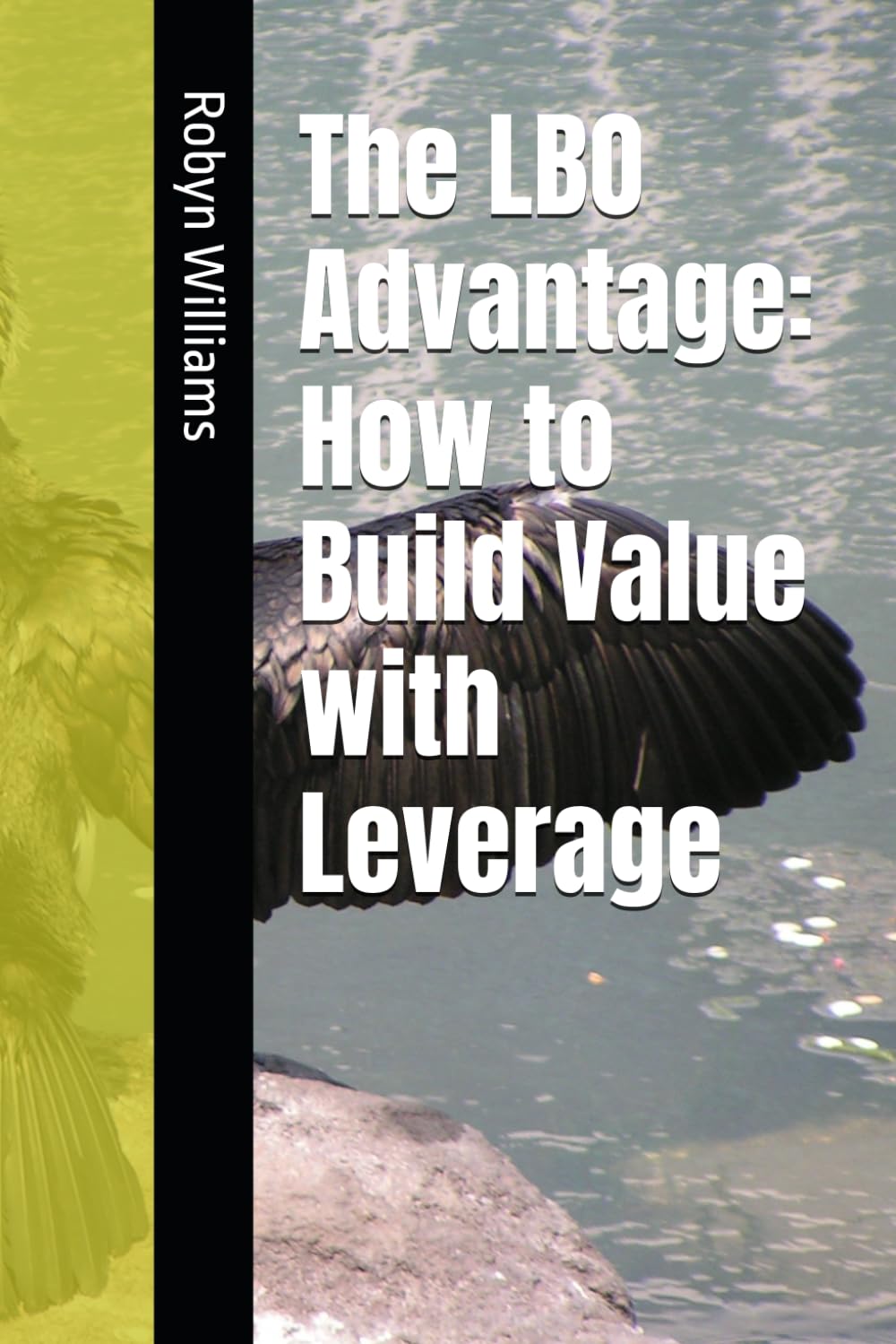 The LBO Advantage: How to Build Value with Leverage
