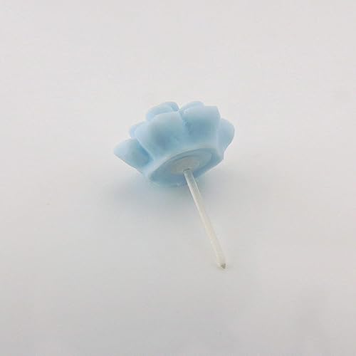 Miniatura 20 de Aretes hipoalergénicos de suculentas Pretty Smart para orejas sensibles