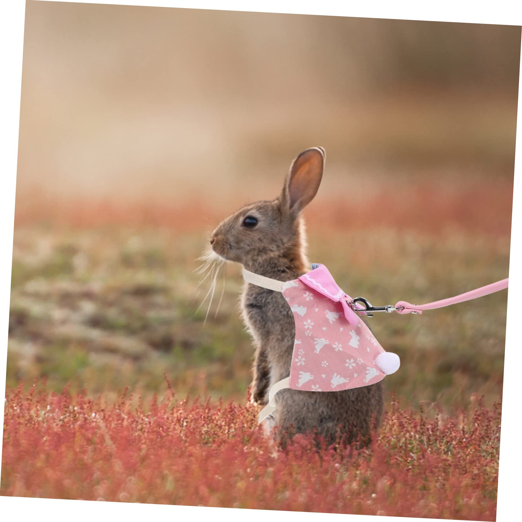 Milisten 4sätze Garment Bunny Kit Atmungsaktives Hasengeschirr Mit Leine Für Kleine Haustiere Für Fotos Und Besondere Anlässe