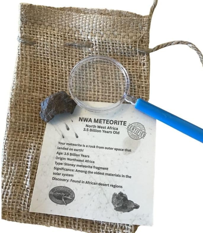 Genuine 3.5 Billion-Year-Old Space Rock Meteorite with Bonus Magnifier - Gift packaged! NWA Meteorite (Northwest Africa)