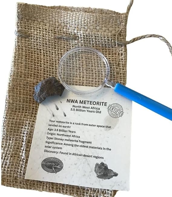 Genuine 3.5 Billion-Year-Old Space Rock Meteorite with Bonus Magnifier - Gift packaged! NWA Meteorite (Northwest Africa)