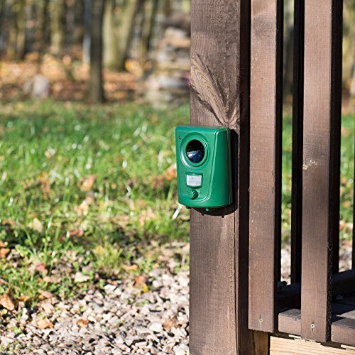 Royal Gardineer Taubenabwehr Ultraschall: 2er-Set Universal-Ultraschall-Tierschreck, Bewegungssensor, für 60 m² (Hochfrequenz Hundeabwehr, Taubenschreck, Hund)