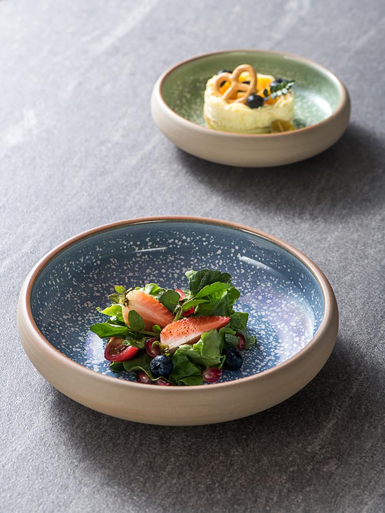 Talerz na przekąski Pojemniki na przekąski Japoński kreatywny ceramiczny okrągły talerz Talerz domowy Talerz na warzywa Talerz na sałatkę Japoński talerz na sashimi Talerz na zacho(B)