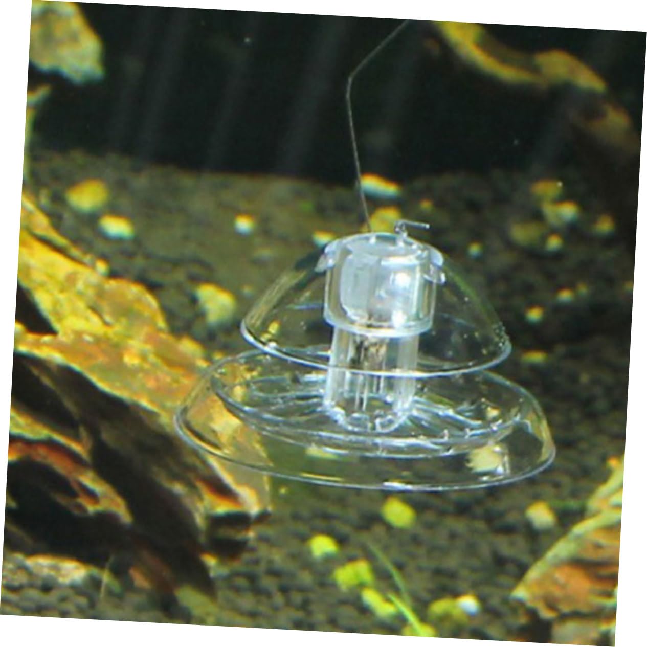 VANZACK 4 Ensembles Piège À Escargot Pièges À Sangsues D'escargots Pièges À Escargots Capture D'escargots Éliminateur D'escargot Attrape-escargots D'aquarium Plastique 4 Pièces * 4
