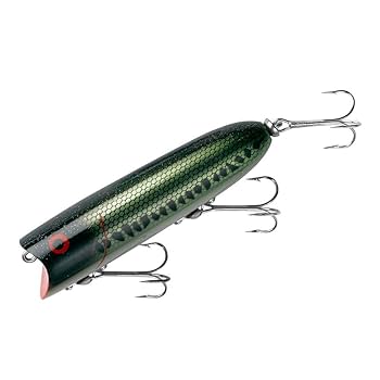 Amazon.com : Heddon Lucky 13 Topwater Fishing Lure with