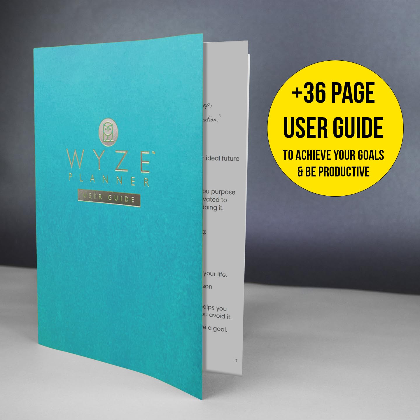 Wyze Planner Agenda giornaliera non datata, organizer per la produttività di 3 mesi, formato A5, con pagina intera al giorno, programma orario, impostazione obiettivi, tracker abitudini, pagine